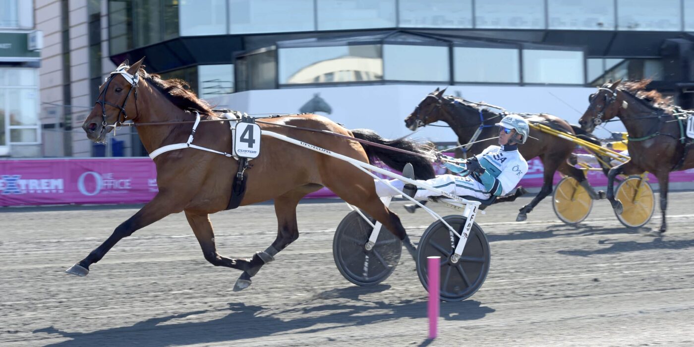 ANDELSTIPSET &#8211; V75