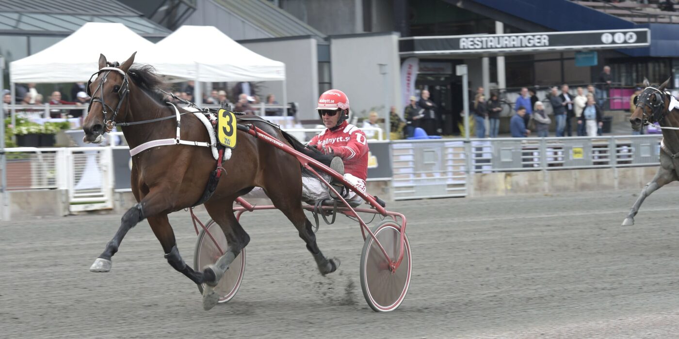 ANDELSTIPSET &#8211; V86