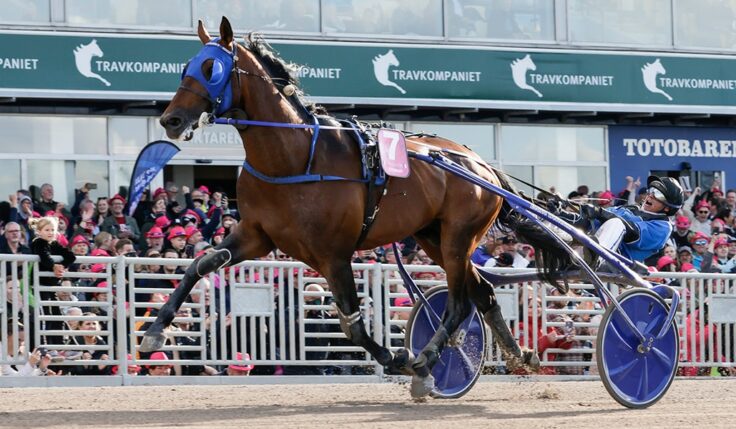 ELITLOPPSSEGER TROTS GALOPP