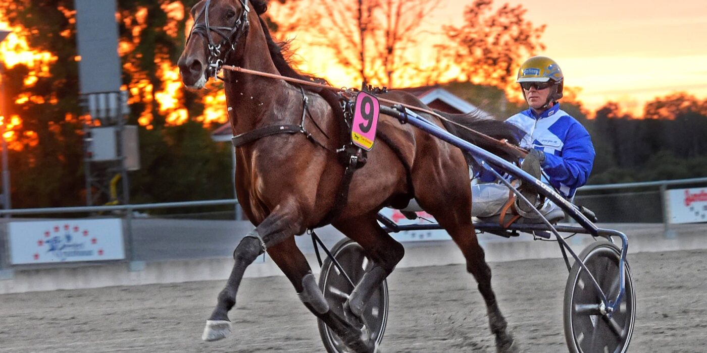 ANDELSTIPSET &#8211; V86