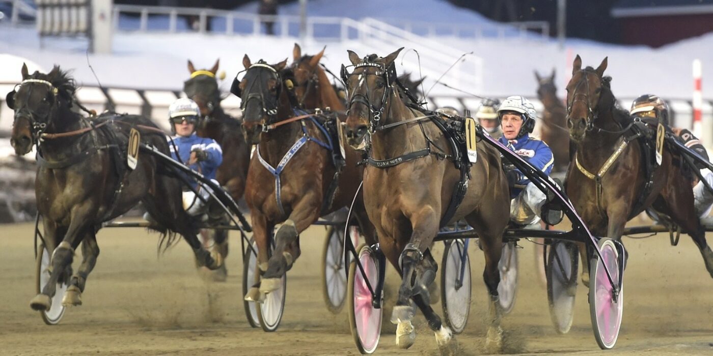 V75: Guld till finske elitloppshästen
