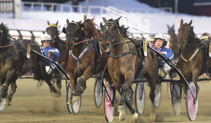 V75: Guld till finske elitloppshästen