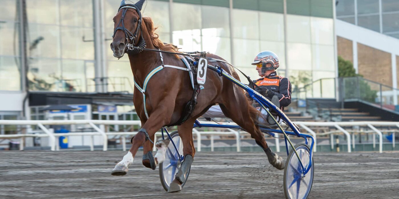 ANDELSTIPSET &#8211; V75