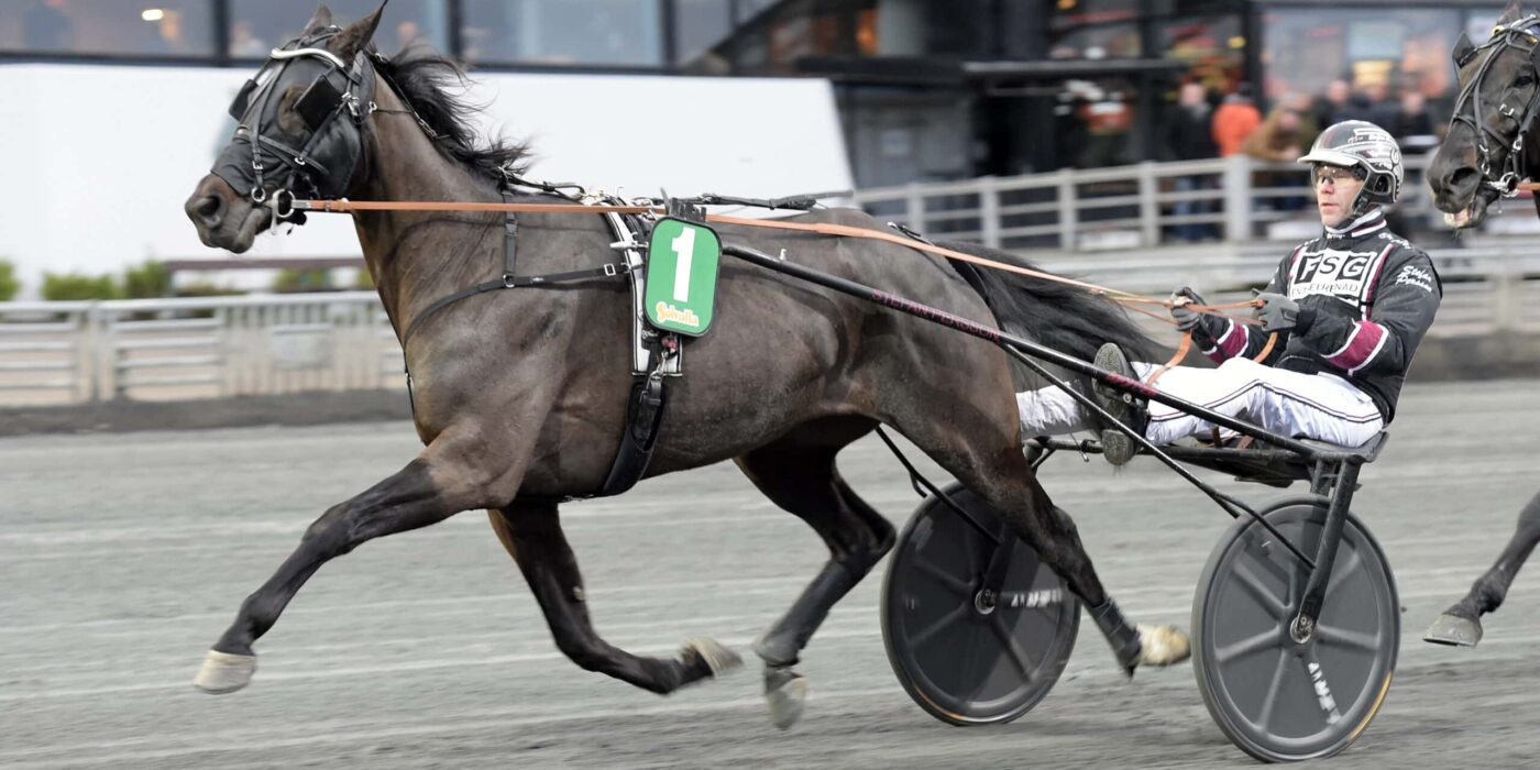 ANDELSTIPSET &#8211; V75