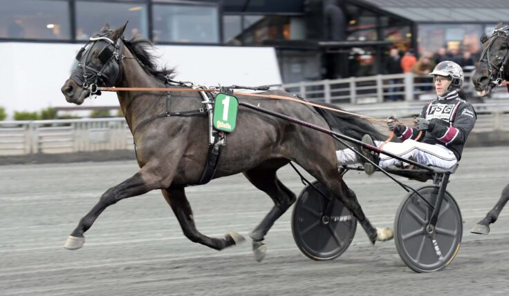 ANDELSTIPSET &#8211; V75