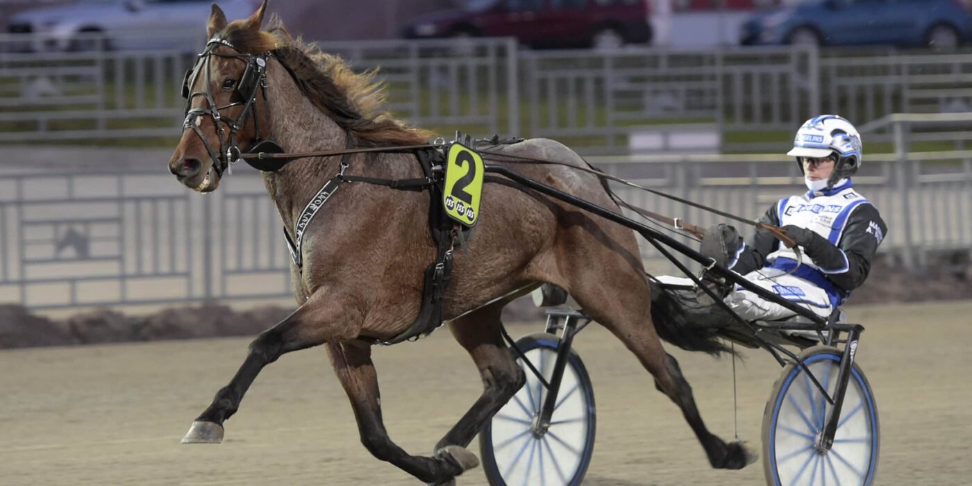 ANDELSTIPSET &#8211; V86