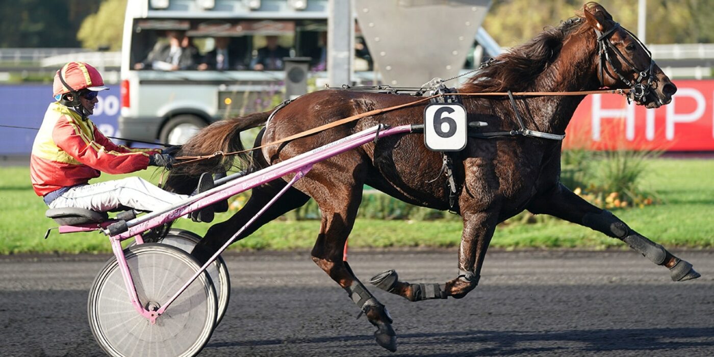 GELATI CUT KLAR FÖR ELITLOPPET 2021