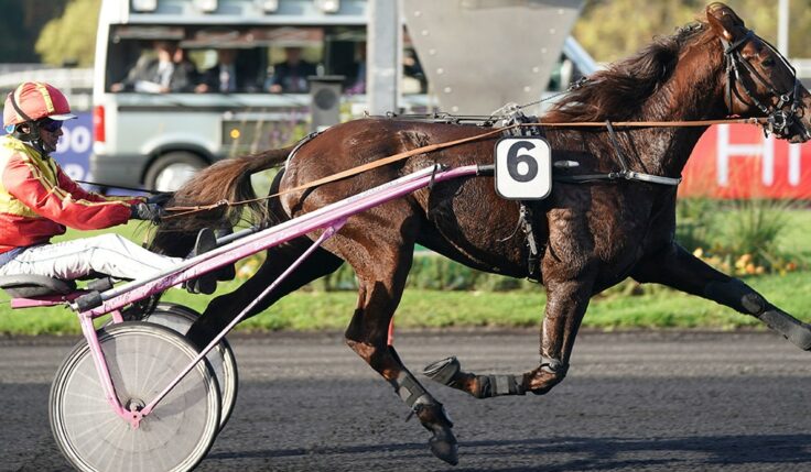 GELATI CUT KLAR FÖR ELITLOPPET 2021
