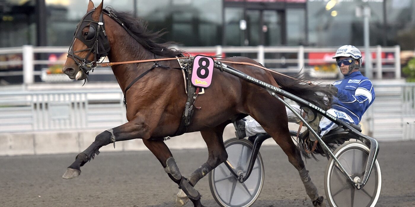 ANDELSTIPSET &#8211; V75