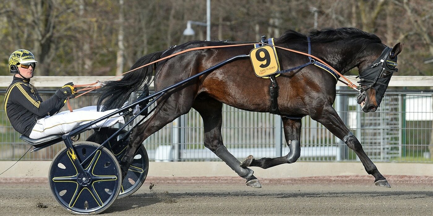 ANDELSTIPSET &#8211; V75