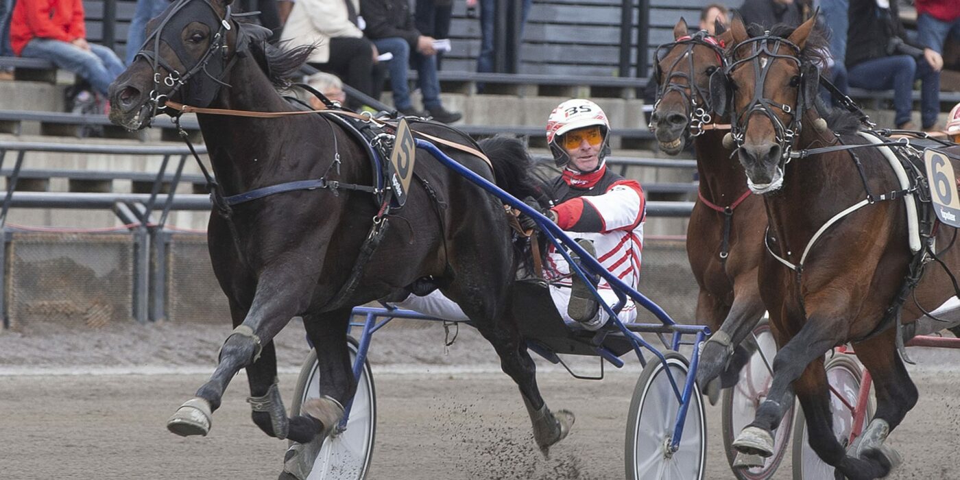 ANDELSTIPSET &#8211; V75