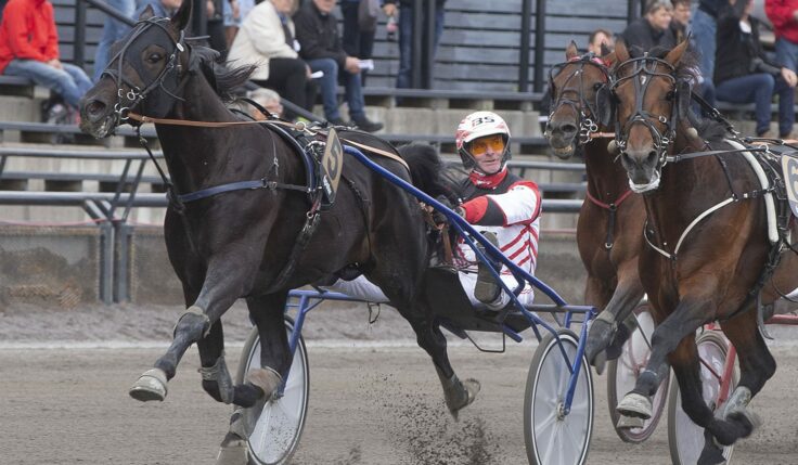 ANDELSTIPSET – V75