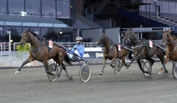 ANDELSTIPSET &#8211; V86