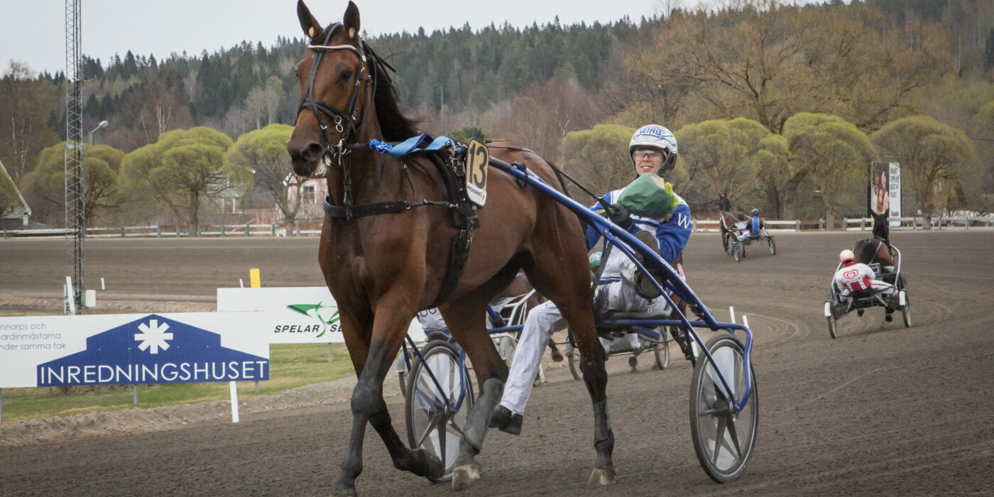 ANDELSTIPSET &#8211; V86