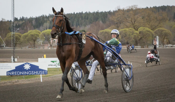 ANDELSTIPSET – V86