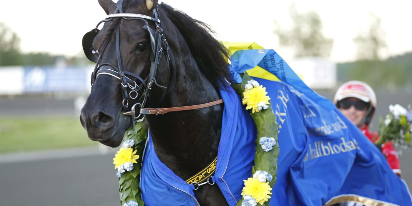 ANDELSTIPSET &#8211; V75