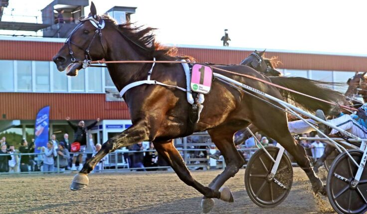 TABELLEN KLAR I STL OPEN
