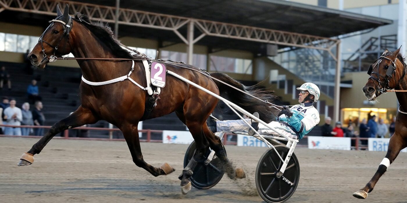 HAIL MARY KLAR FÖR ELITLOPPET 2022