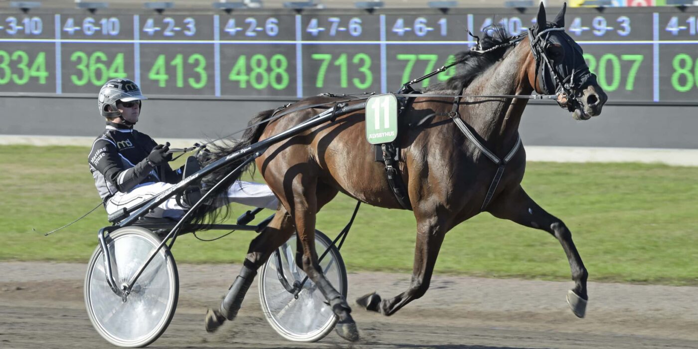 ANDELSTIPSET &#8211; V86