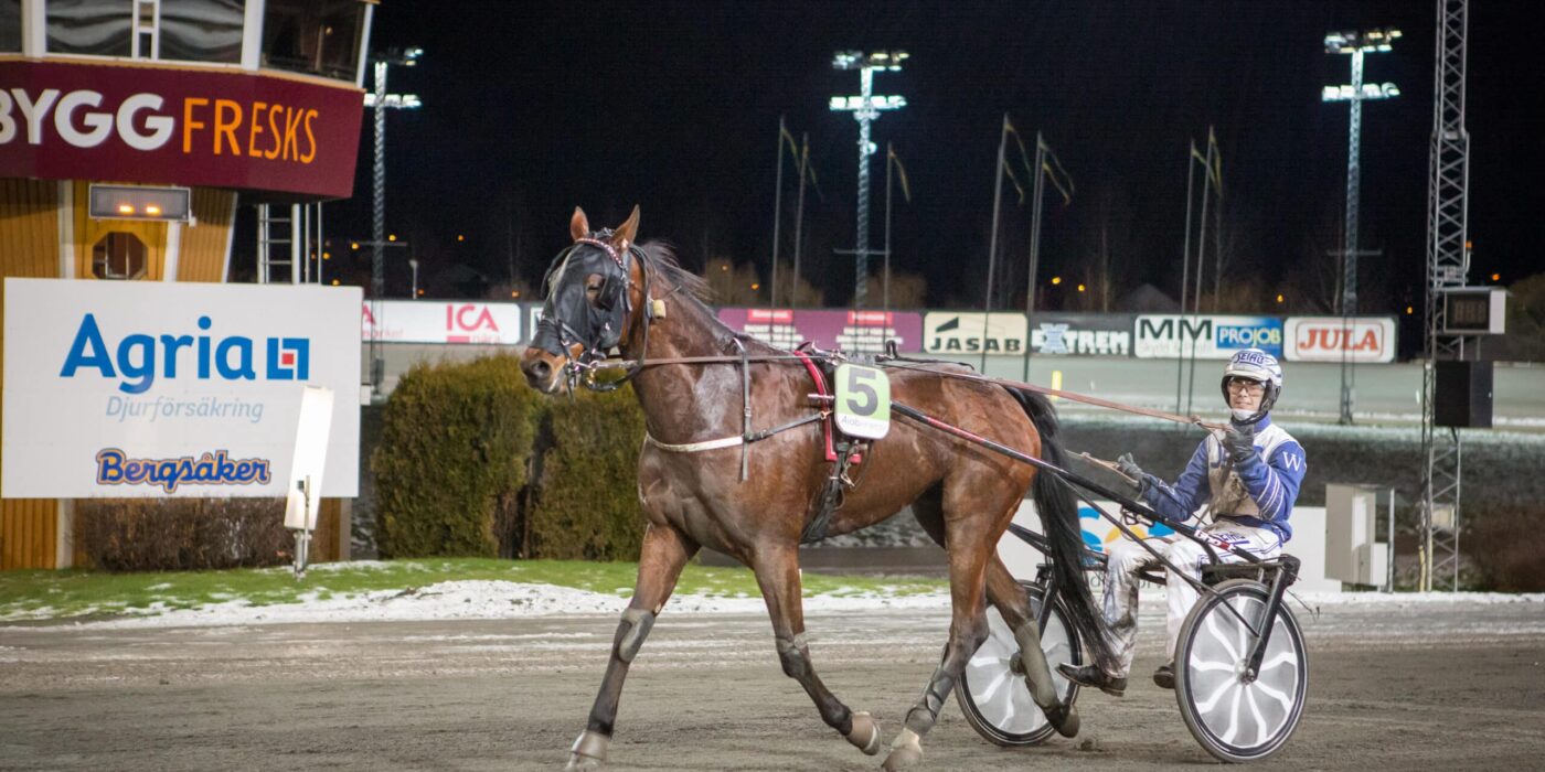 ANDELSTIPSET &#8211; V75