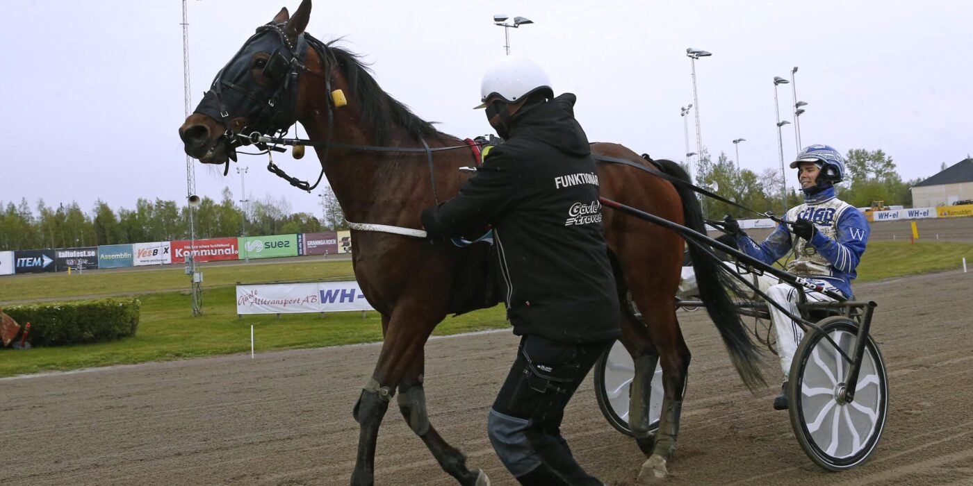 ANDELSTIPSET &#8211; V75