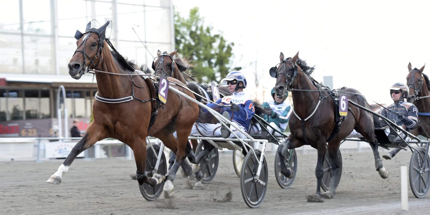 ANDELSTIPSET &#8211; V75