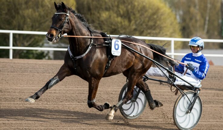 HICKOTHEPOOH KLAR FÖR ELITLOPPET 2021