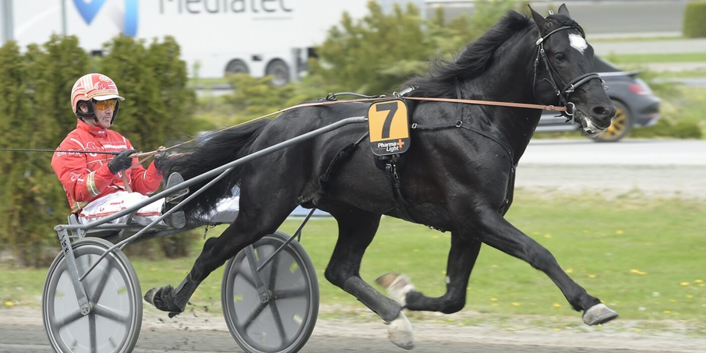 SEX NYA DELTAGARE KLARA FÖR SPEEDRACE 2020