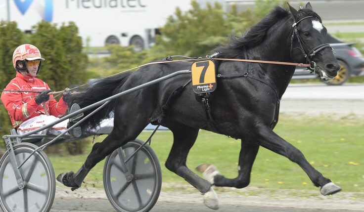 SEX NYA DELTAGARE KLARA FÖR SPEEDRACE 2020