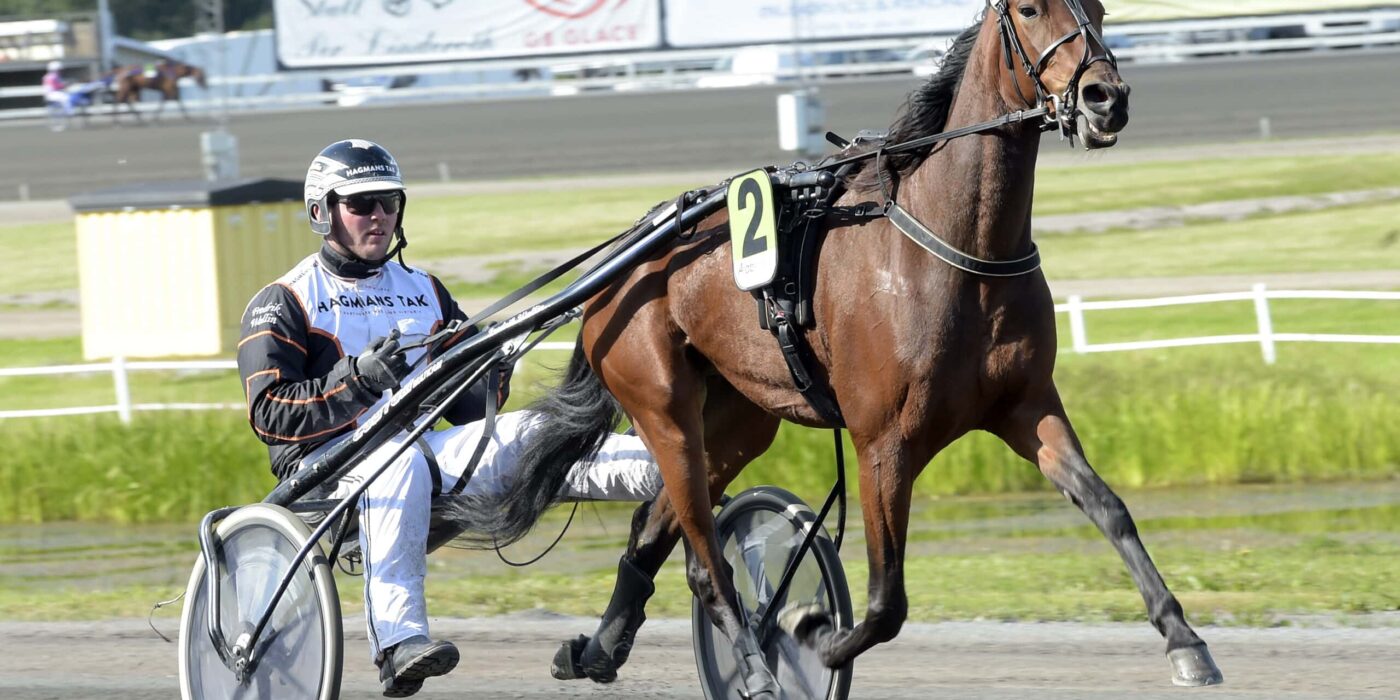 ANDELSTIPSET &#8211; V75