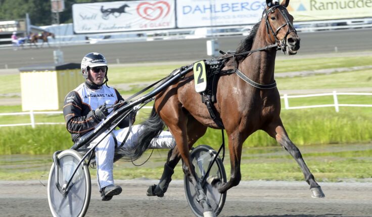 ANDELSTIPSET – V75
