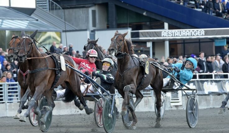 hitta.se blir titelsponsor för Svenskt Trav-Kriterium och Svenskt Trav-Oaks