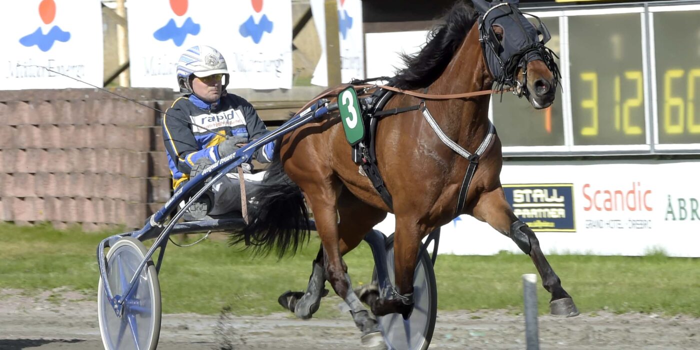 ANDELSTIPSET &#8211; V86