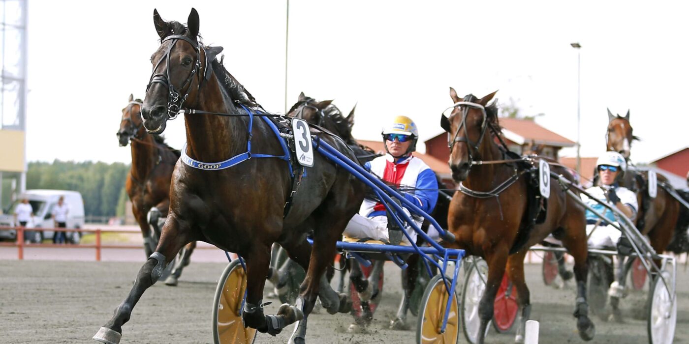 ANDELSTIPSET &#8211; V75