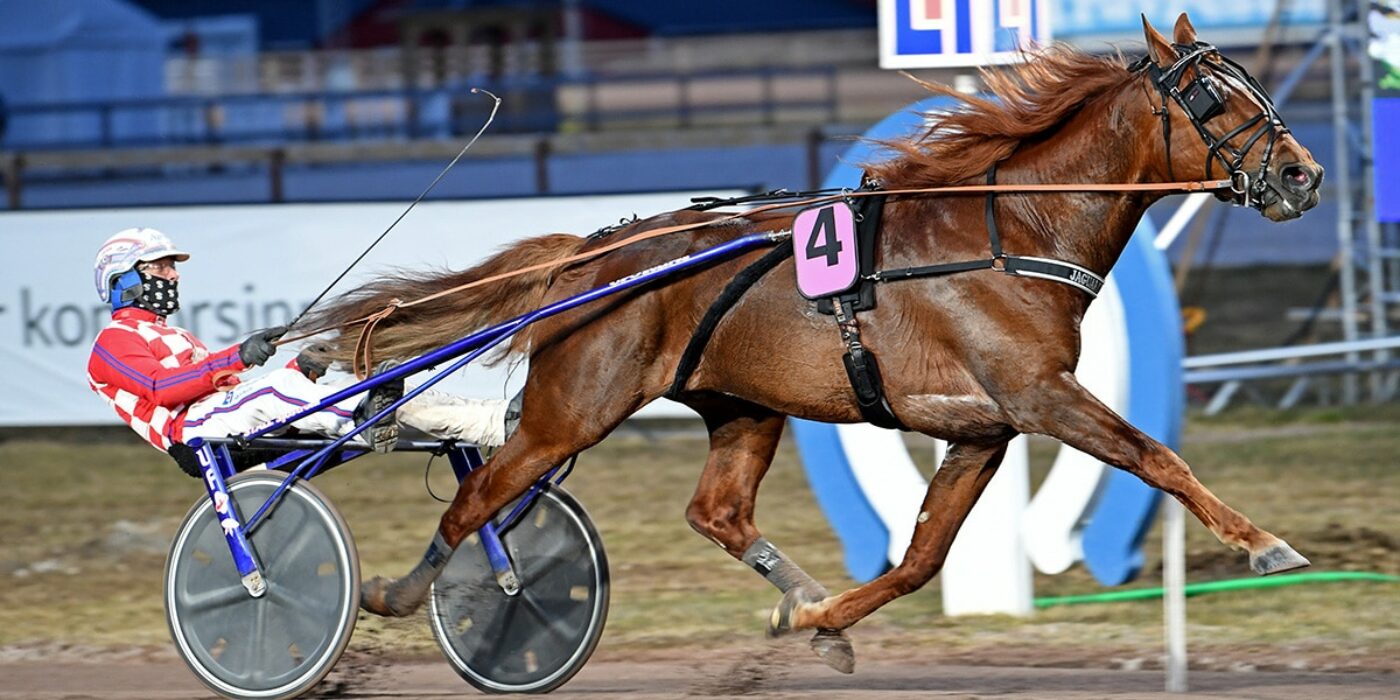 MÅNADENS HÄSTÄGARE &#8211; MARS 2021