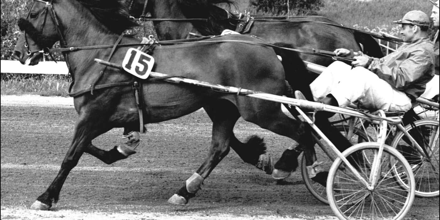 JÄNTUNGEN HEDRAS MED LOPP PÅ JUBILEUMSPOKALSKVÄLLEN