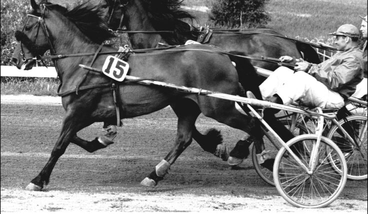 JÄNTUNGEN HEDRAS MED LOPP PÅ JUBILEUMSPOKALSKVÄLLEN