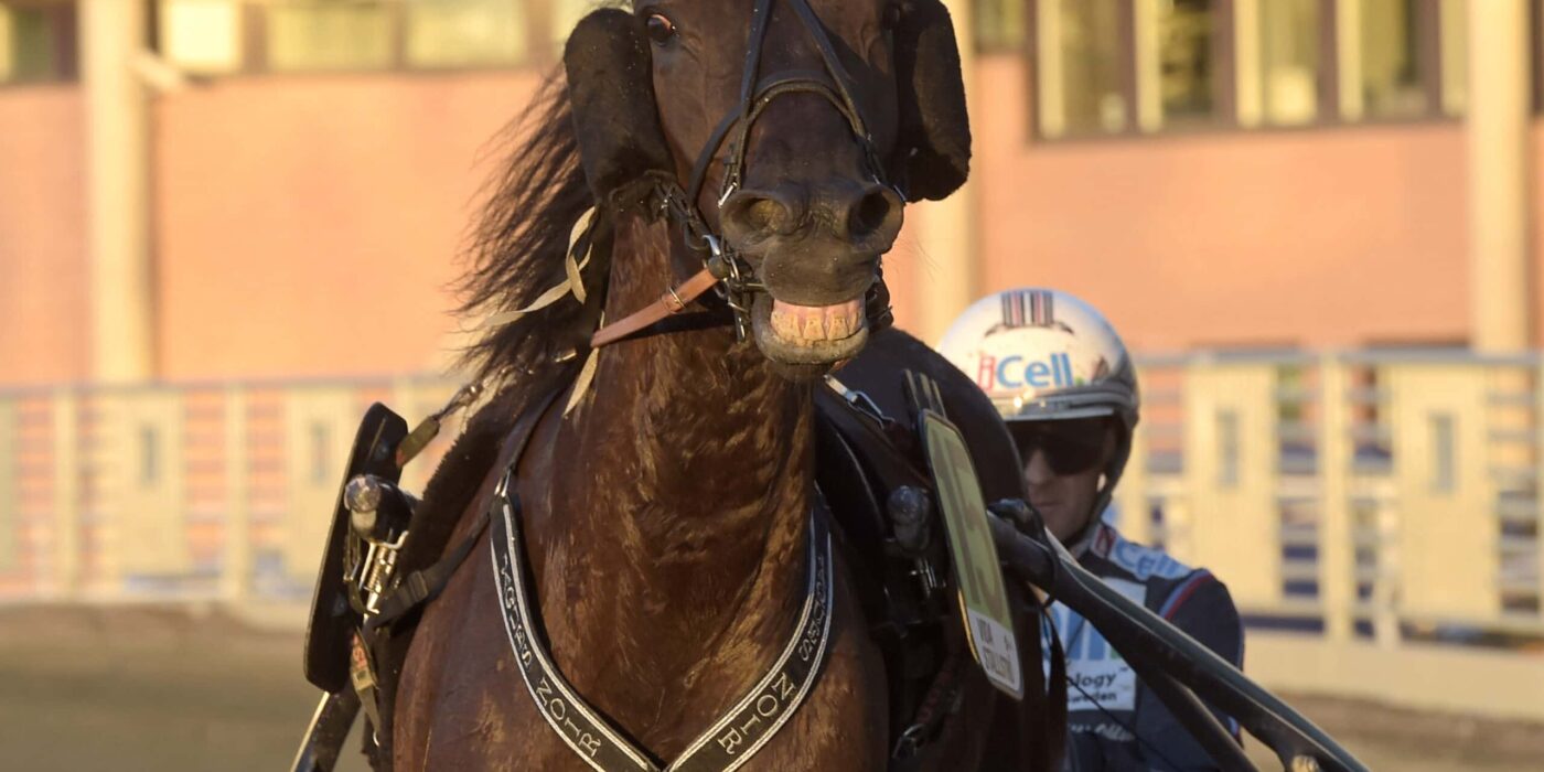 ANDELSTIPSET &#8211; V75