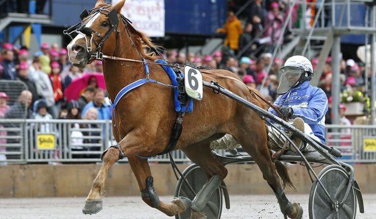 JOSVEIS ERSÄTTER VÄLÄHDYS I ELITKAMPEN