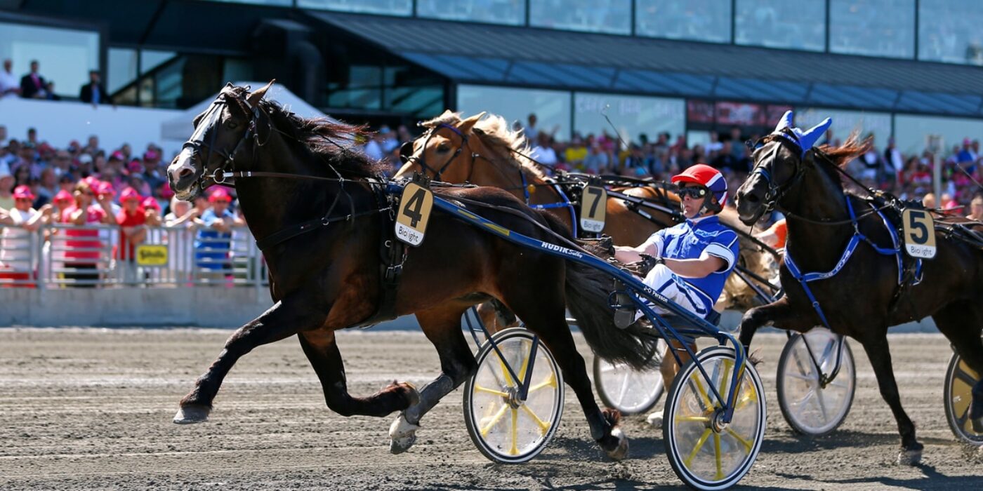 Månprinsen A.M., Lome Brage och Polara klara för Elitkampen