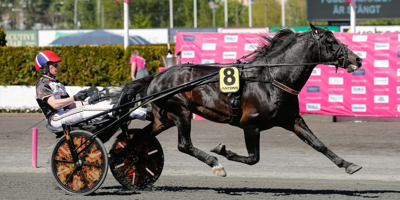 ANDELSTIPSET &#8211; V86