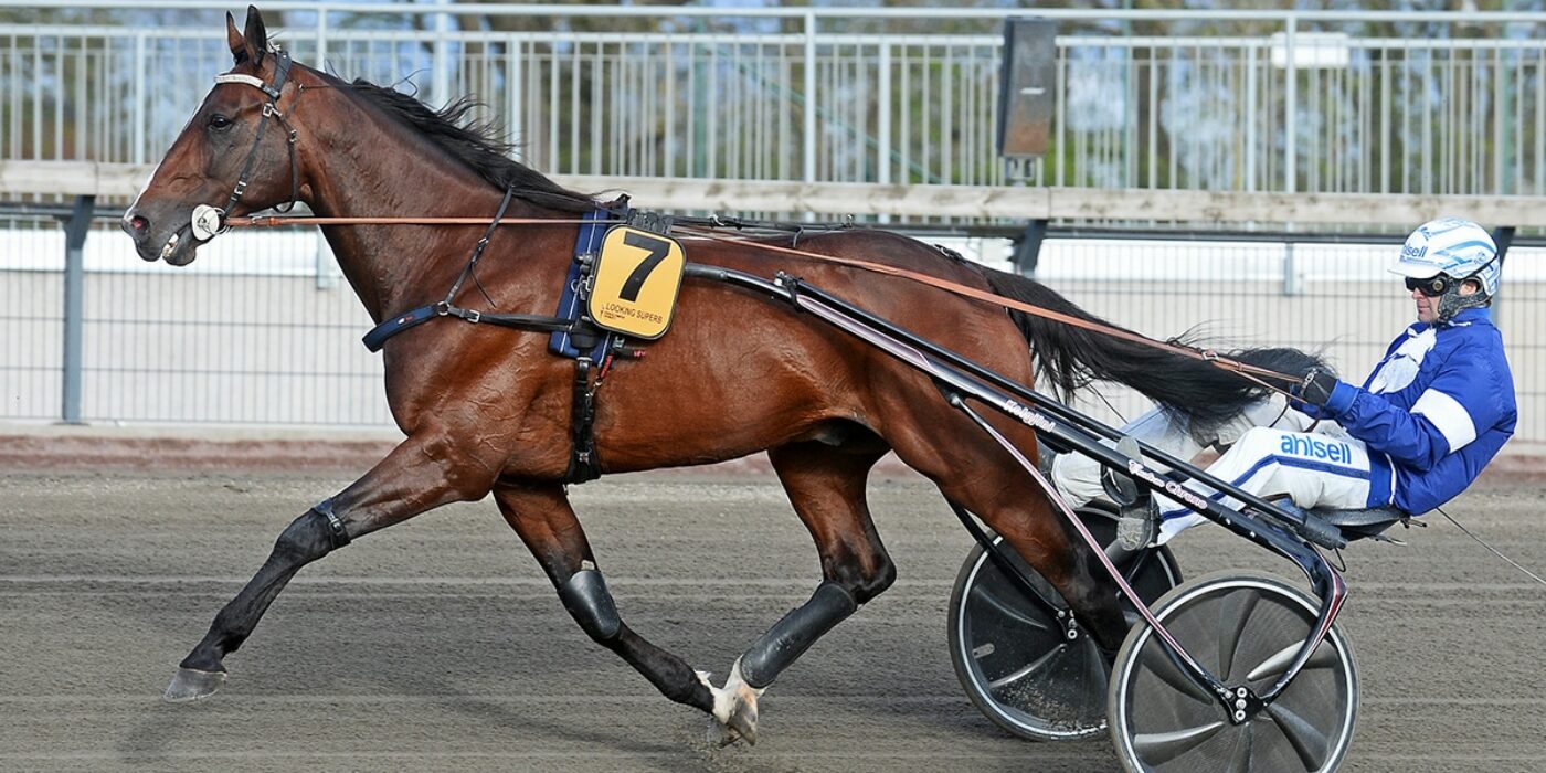 LOOKING SUPERB KLAR FÖR ELITLOPPET 2020