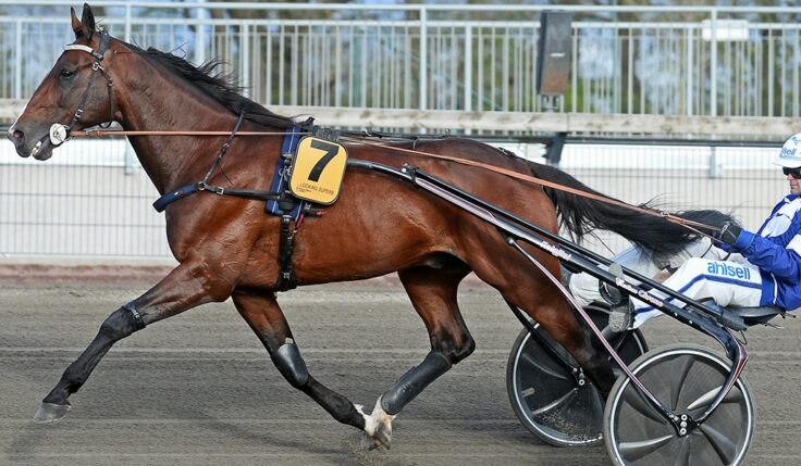 LOOKING SUPERB KLAR FÖR ELITLOPPET 2020