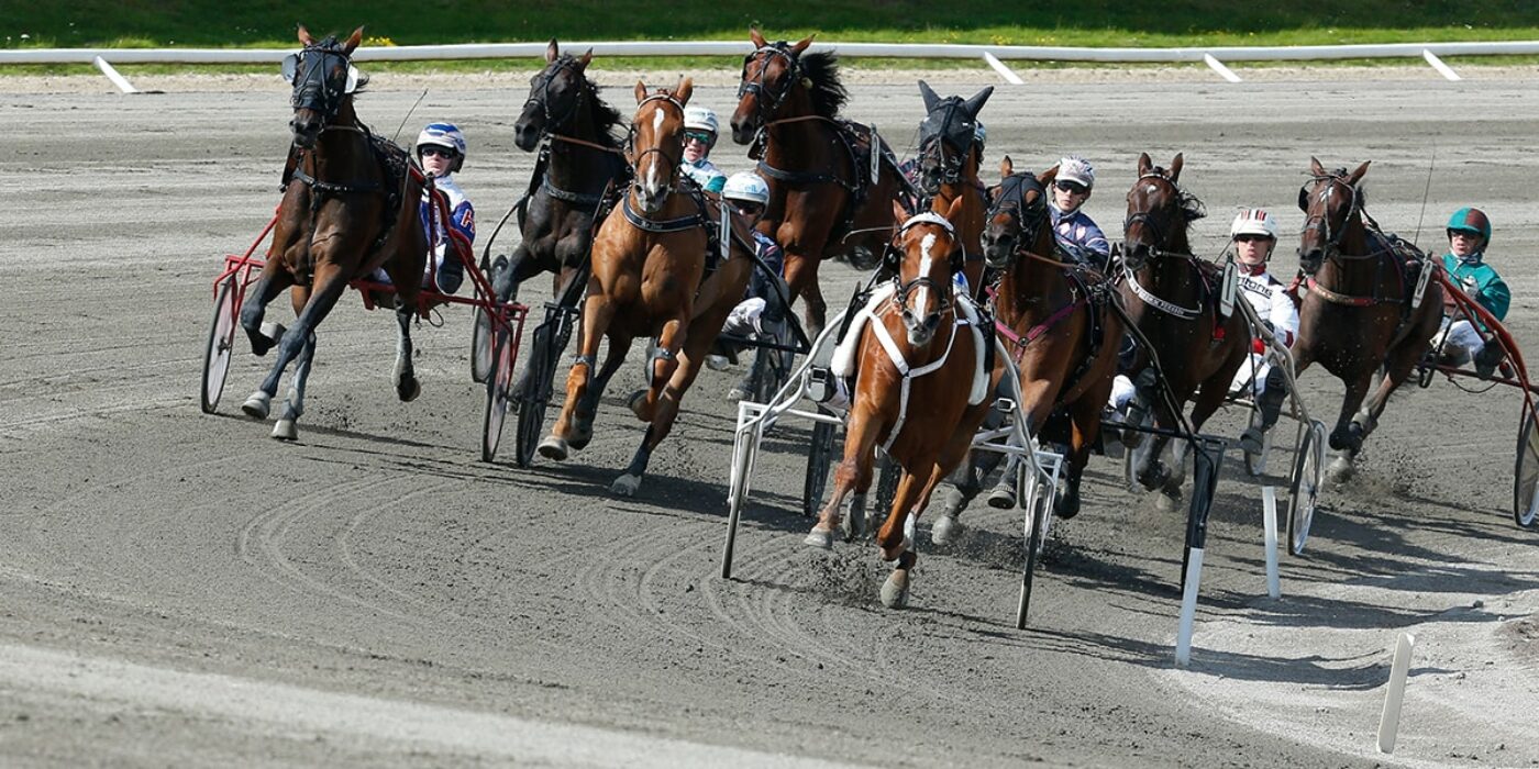 KUSKMATCH I REIMS OCH PÅ SOLVALLA