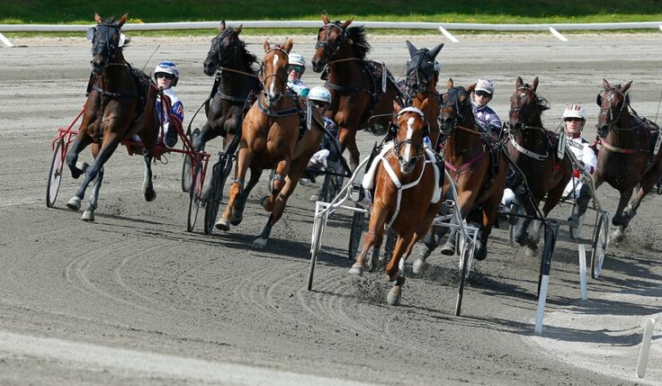 KUSKMATCH I REIMS OCH PÅ SOLVALLA