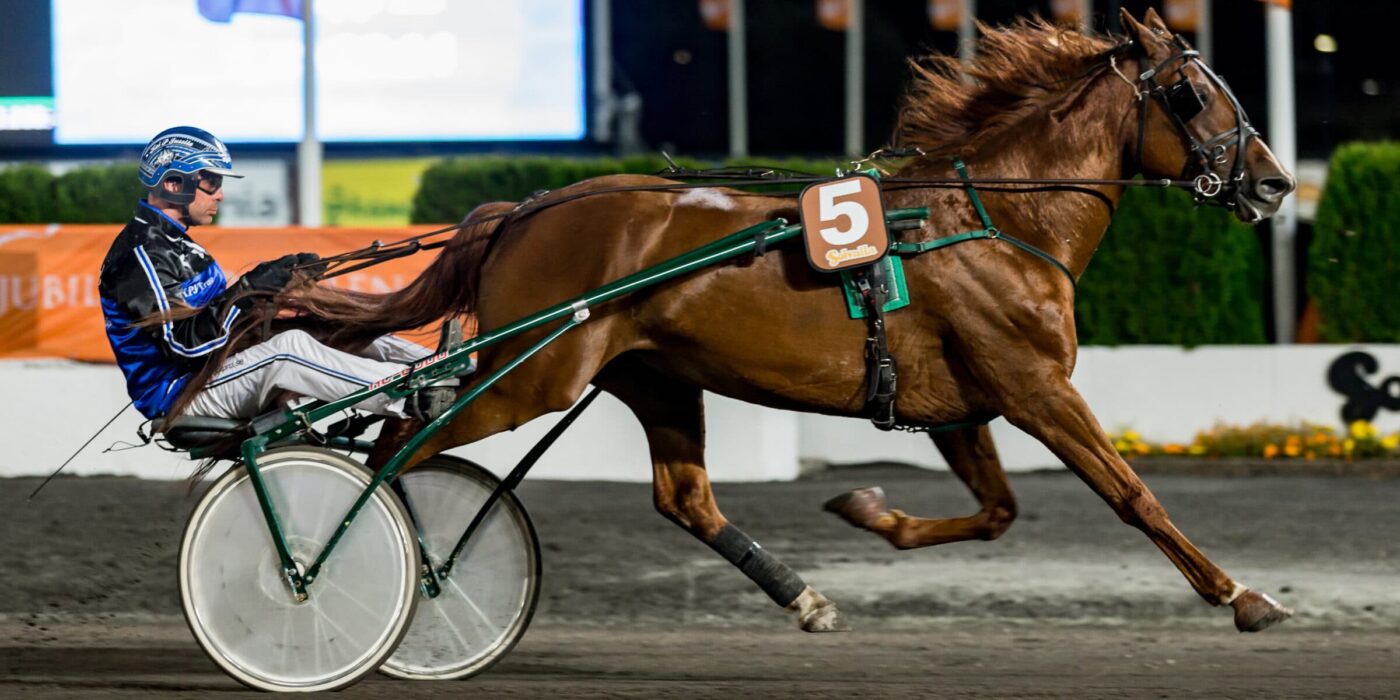 FUXLOPPET MED FÖRHÖJD PRISSUMMA