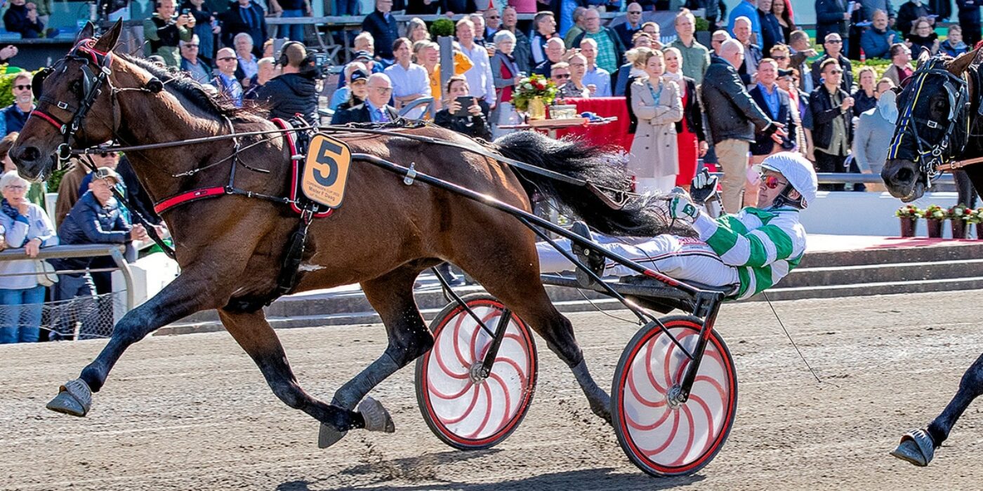 MISTER F DAAG KLAR FÖR ELITLOPPET 2022