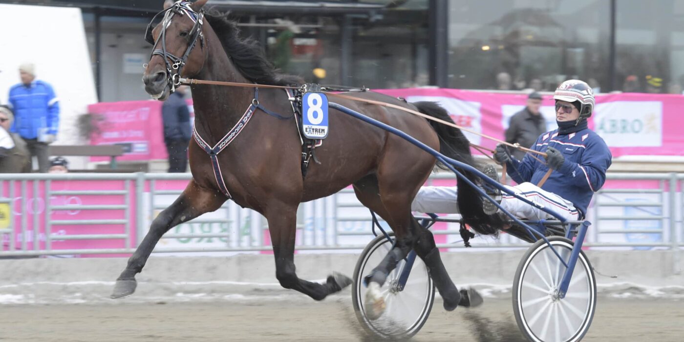 ANDELSTIPSET &#8211; V75