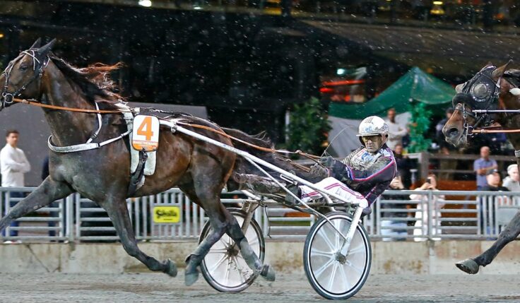Makethemark inbjuden till Elitloppet