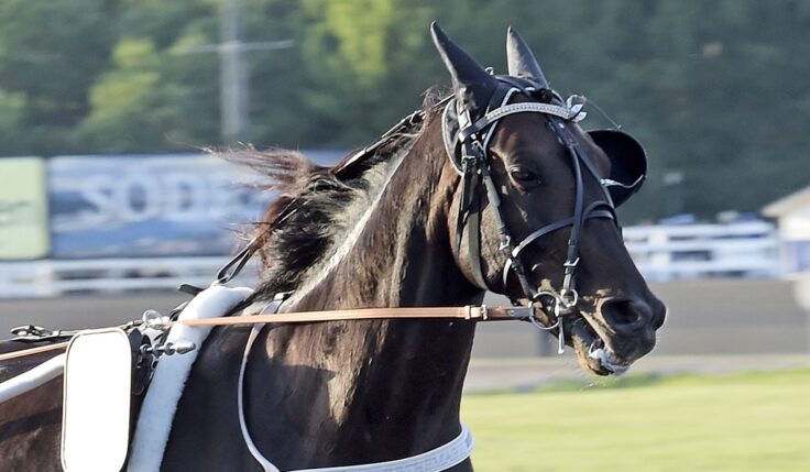 MAKETHEMARK KLAR FÖR ELITLOPPET 2020